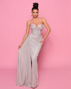 Woman wearing a strapless silver gown against a pink background